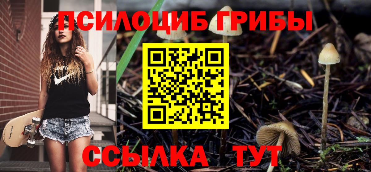Галлюциногенные грибы мицелий  Вход с VPN  Шали 